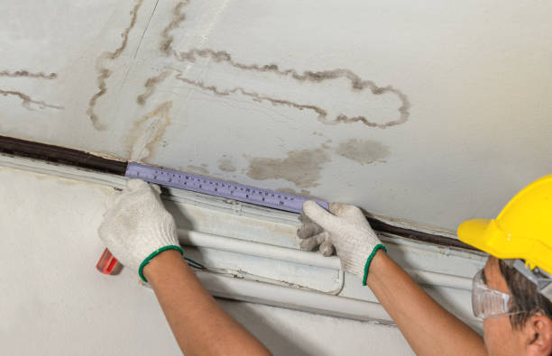 Reliable Water Damage contractor in Central City, NE by Water Damage Irwin
